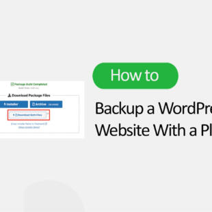 The easiest way to create a WordPress backups is by using a plugin like Duplicator. It is one of the best WordPress backup plugins.